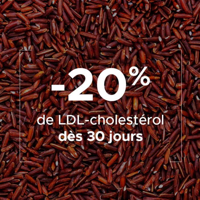 Lipidim - Complément alimentaire contre le cholestérol – Holystrom